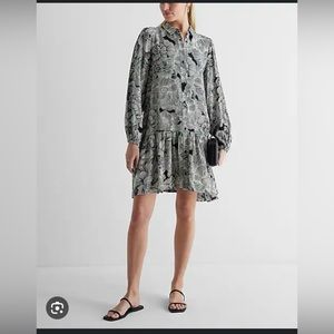 Express shirt dress